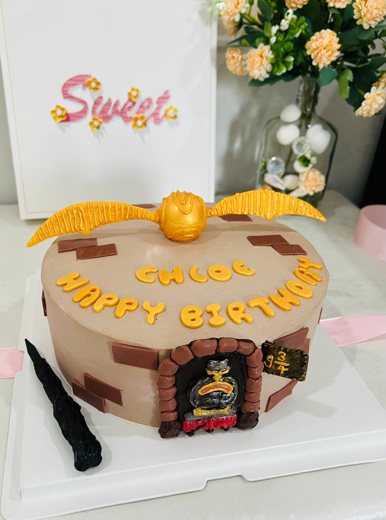 哈利波特主题生日蛋糕 (1033)